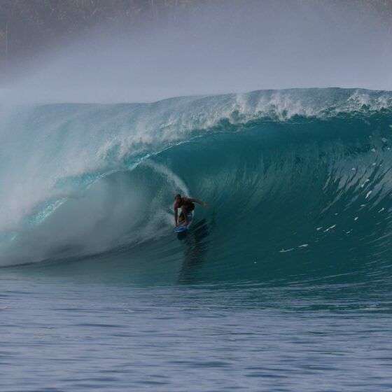 NATE BEHL