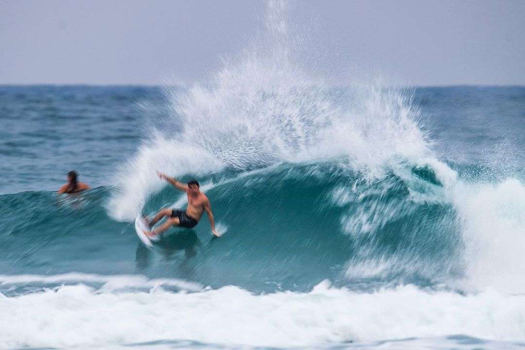 Leo Fioravanti Carve
