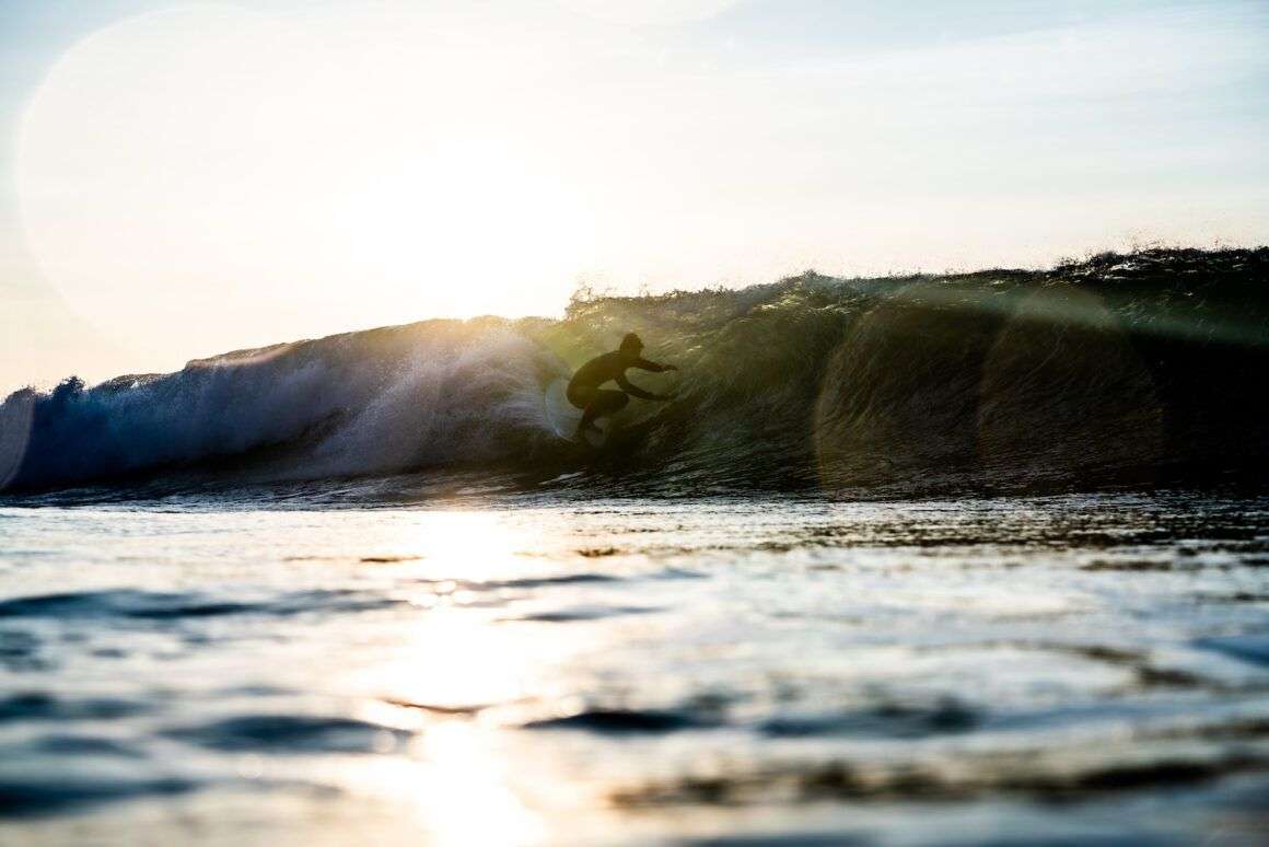 Joao Dantas Longboard Bear