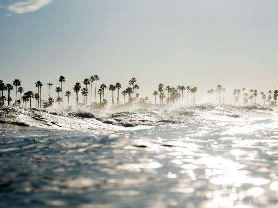 El Camino Real California