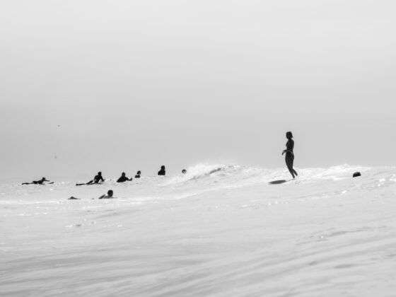 Donne Surf
