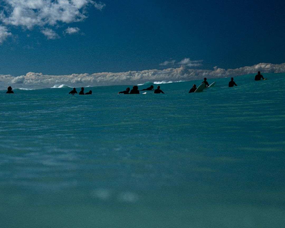 Surf estivo
