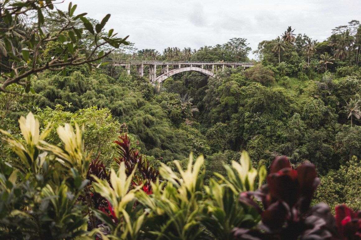 Ubud Bali