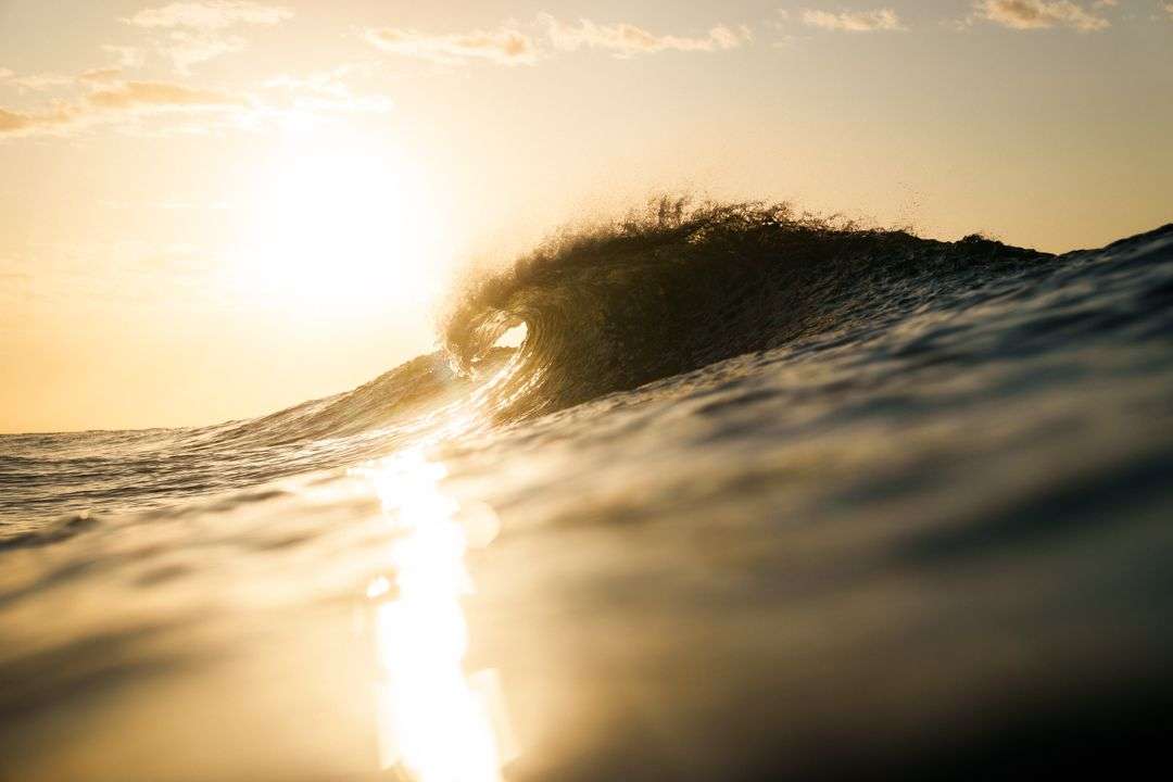 il surf non ha genere